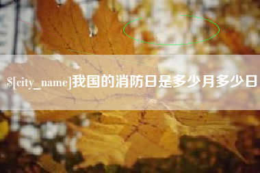 丰城我国的消防日是多少月多少日