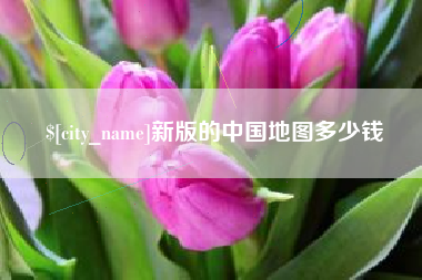 丰城新版的中国地图多少钱