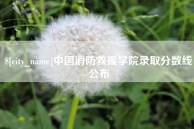丰城中国消防救援学院录取分数线公布