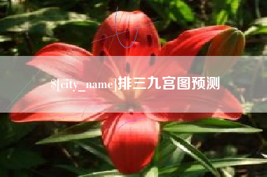 丰城排三九宫图预测