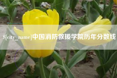 丰城中国消防救援学院历年分数线