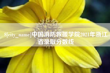 丰城中国消防救援学院2021年浙江省录取分数线