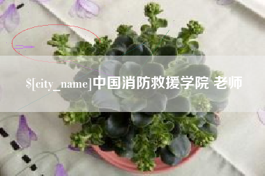 丰城中国消防救援学院 老师