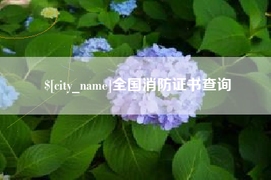 丰城全国消防证书查询