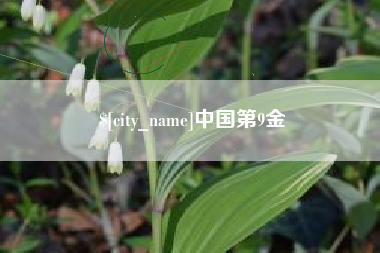 丰城中国第9金