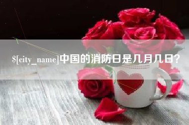 丰城中国的消防日是几月几日？