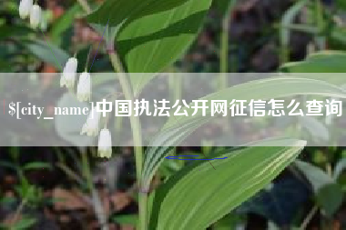 丰城中国执法公开网征信怎么查询