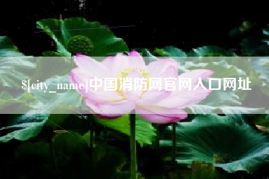 丰城中国消防网官网入口网址