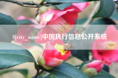 丰城中国执行信息公开系统