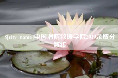 丰城中国消防救援学院2019录取分数线