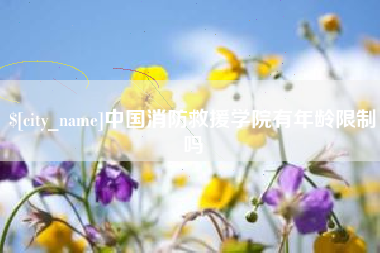 丰城中国消防救援学院有年龄限制吗