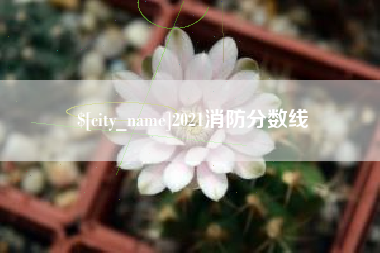 丰城2021消防分数线