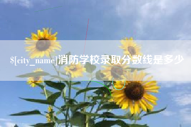 丰城消防学校录取分数线是多少