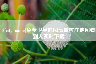 丰城免费卫星地图高清村庄地图看到人实时下载