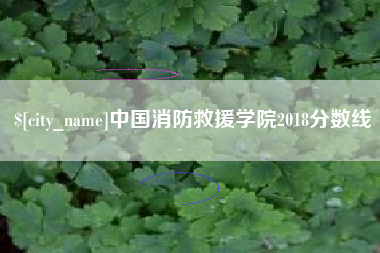 丰城中国消防救援学院2018分数线