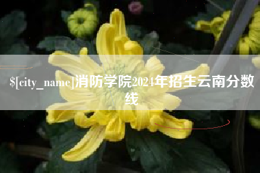 丰城消防学院2024年招生云南分数线