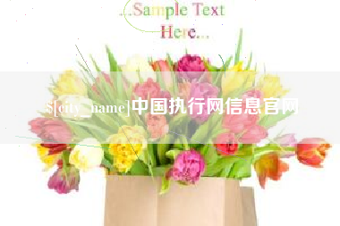 丰城中国执行网信息官网