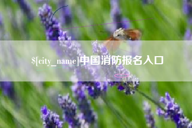 丰城中国消防报名入口