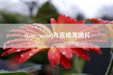 丰城九宫格龙图片