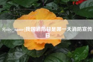 丰城我国消防日是哪一天消防宣传日
