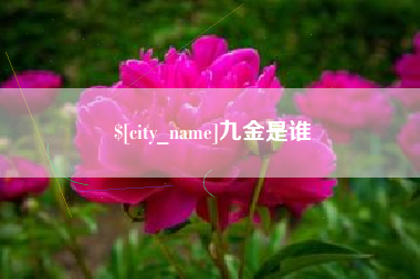 丰城九金是谁