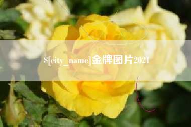 丰城金牌图片2021