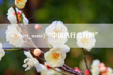 丰城“中国执行公开网”