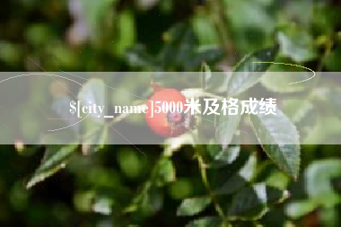 丰城5000米及格成绩