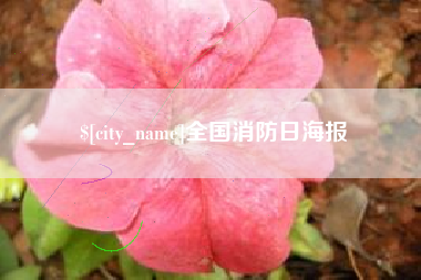 丰城全国消防日海报