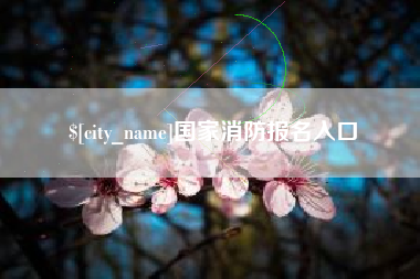 丰城国家消防报名入口