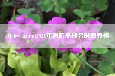 丰城2025年消防员报名时间表格