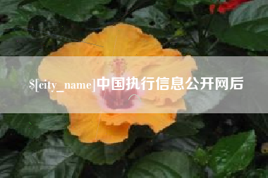 丰城中国执行信息公开网后