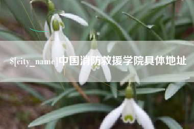 丰城中国消防救援学院具体地址