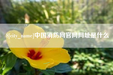 丰城中国消防网官网网址是什么