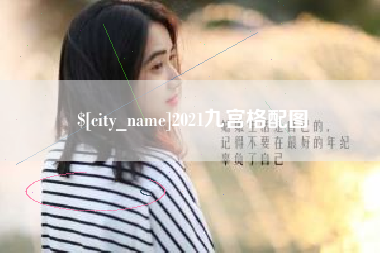 丰城2021九宫格配图