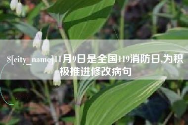丰城11月9日是全国119消防日,为积极推进修改病句