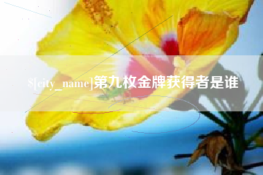 丰城第九枚金牌获得者是谁