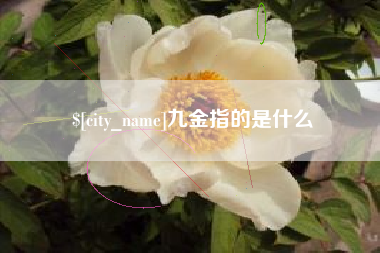 丰城九金指的是什么