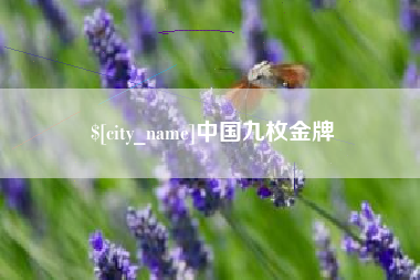 丰城中国九枚金牌