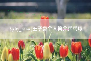 丰城王子豪个人简介乒乓球