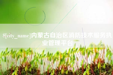 丰城内蒙古自治区消防技术服务执业管理平台
