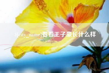 丰城看看王子豪长什么样