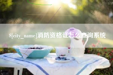 丰城消防资格证怎么查询系统