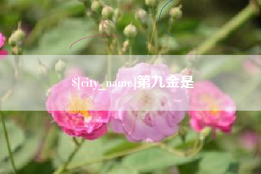 丰城第九金是