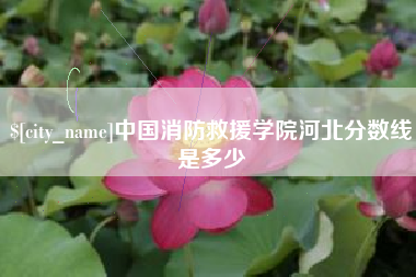丰城中国消防救援学院河北分数线是多少