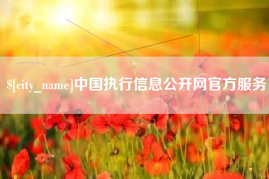丰城中国执行信息公开网官方服务