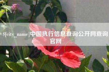 丰城中国执行信息查询公开网查询官网