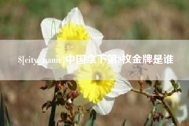 丰城中国拿下第9枚金牌是谁
