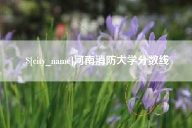 丰城河南消防大学分数线
