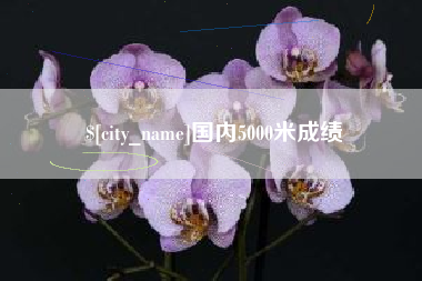 丰城国内5000米成绩